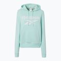 Дамски суитшърт Reebok Identity Big Logo Fleece Crew aqua 5