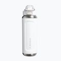 Термо бутилка Stanley Classic Wellspring frost