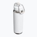Термо бутилка Stanley Classic Wellspring frost 2