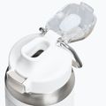 Термо бутилка Stanley Classic Wellspring frost 3