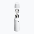 Термос Stanley New Legendary Classic hammertone frost 3