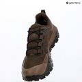 Мъжки туристически обувки The North Face Offtrail Hike GTX dark chestnut/smokey 14