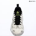 Мъжки обувки за баскетбол Nike Giannis Immortality 5 white/off white/metallic silver 16