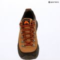 Мъжки обувки за трекинг Columbia Newton Alpine Low grizzly bear/red oxide 15