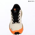 Дамски обувки за бягане Salomon Genesis 2 GTX rainy day/desert tan 15
