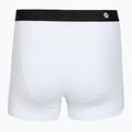 Мъжки боксерки Stance Standard 4IN white 2