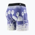 Мъжки боксерки Stance In Paradise Brief blue 2