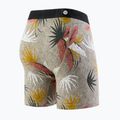 Мъжки боксерки Stance Yacht Club Brief в многоцветен цвят 2