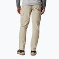 Мъжки панталони за трекинг Columbia Silver ridge II cargo 160 beige 1794901 2