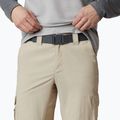 Мъжки панталони за трекинг Columbia Silver ridge II cargo 160 beige 1794901 4