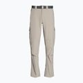 Мъжки панталони за трекинг Columbia Silver ridge II cargo 160 beige 1794901 6