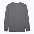 Мъжка велосипедна блуза с дълъг ръкав Fox Racing Absolute Tech heather graphite 2