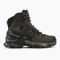 Мъжки обувки за трекинг Salomon Quest 4 GTX olive night/peat/safari 2