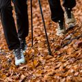 Мъжки ботуши за трекинг Salomon X Ultra 4 GTX brown L41445600 12