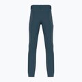 Мъжки панталони за трекинг Salomon Wayfarer blue LC1713700 2