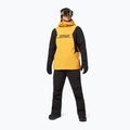 Мъжко яке за сноуборд Oakley TNP TBT Insulated Anorak amber yellow/blackout 3