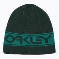 Oakley TNP Обръщаема шапка зелена FOS901066 4