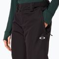 Дамски скиорски панталони Oakley Snow Insulated blackout 6