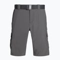Columbia Silver Ridge II Cargo 023 grey 1794921 мъжки къси панталони за трекинг 6