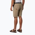 Мъжки къси панталони за трекинг Columbia Tech Trail 221 beige 1883371 2