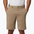 Мъжки къси панталони за трекинг Columbia Tech Trail 221 beige 1883371 3