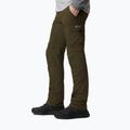 Мъжки панталони за трекинг Columbia Silver Ridge II converti 319 green 1794891 3