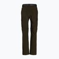 Мъжки панталони за трекинг Columbia Silver Ridge II converti 319 green 1794891 9
