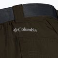 Мъжки панталони за трекинг Columbia Silver Ridge II converti 319 green 1794891 11