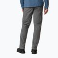 Мъжки панталони за трекинг Columbia Silver ridge II cargo 023 grey 1794901 4