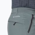 Мъжки панталони за трекинг Columbia Triple Canyon 023 grey 1711681 4