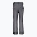 Мъжки панталон за сноуборд Volcom New Articulated grey G1352211-DGR 2