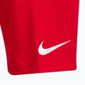 Мъжки шорти за тренировка Nike Dri-Fit Park III червени BV6855-657 3