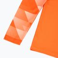 Мъжки футболен суитшърт Nike Dri-Fit Park IV оранжев CJ6066-819 4