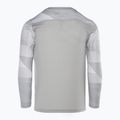 Детска вратарска тениска Nike Dri-FIT Park IV pewter grey/white/black 2