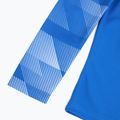 Детски футболен суитшърт Nike Dry-Fit Park IV, син CJ6072-463 4