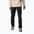Мъжки панталони за трекинг Columbia Silver ridge II cargo 010 black 1794901