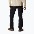 Мъжки панталони за трекинг Columbia Silver ridge II cargo 010 black 1794901 2