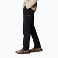 Мъжки панталони за трекинг Columbia Silver ridge II cargo 010 black 1794901 3