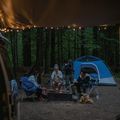 Columbia Rugged Ridge Sherpa 1/2 мъжки поларен суитшърт бежово и черно 1952393 12