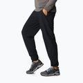 Columbia Pleasant Creek Warm Jogger дамски панталон за трекинг черен 1960113 2