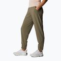 Columbia Pleasant Creek Warm Jogger brown дамски панталони за трекинг 1960113 2