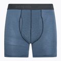Мъжки боксерки Patagonia Essential Boxer Briefs 6“ fathom stripe/new navy