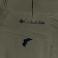 Мъжки панталони за трекинг Columbia Triple Canyon 397 green 1711681 11