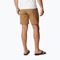 Мъжки къси панталони за трекинг Columbia Maxtrail Lite 257 brown 1990471 2