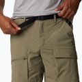 Мъжки къси панталони за трекинг Columbia Maxtrail Lite 397 green 1990471 4