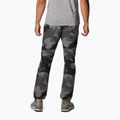 Мъжки панталони за трекинг Columbia Wallowa Belted 012 grey-black 1955361 2