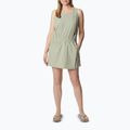 Columbia Alpine Chill Zero Women's Overalls Green 1991751