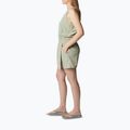 Columbia Alpine Chill Zero Women's Overalls Green 1991751 3
