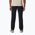 Мъжки панталони за трекинг Columbia Silver Ridge Utility black 2