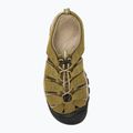 Мъжки сандали за трекинг KEEN Newport martini olive/brindle 6